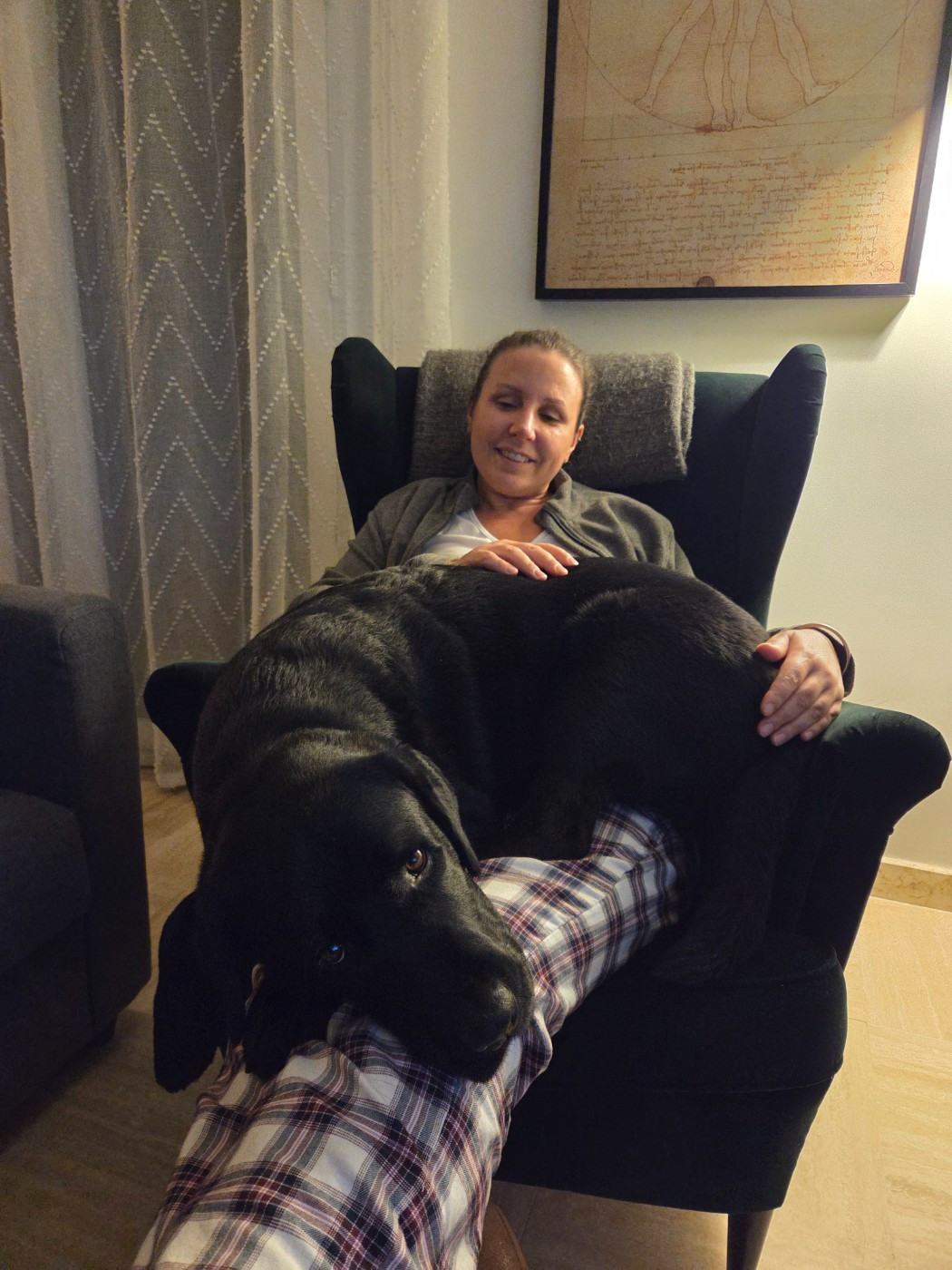 Skywalker de la foret des boules de poils