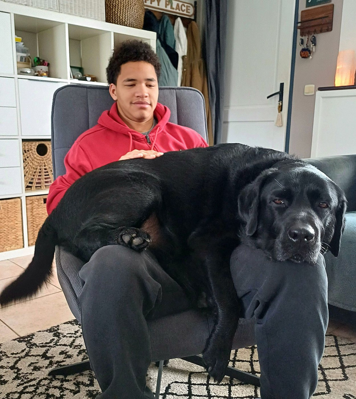 Scoubidou de la foret des boules de poils